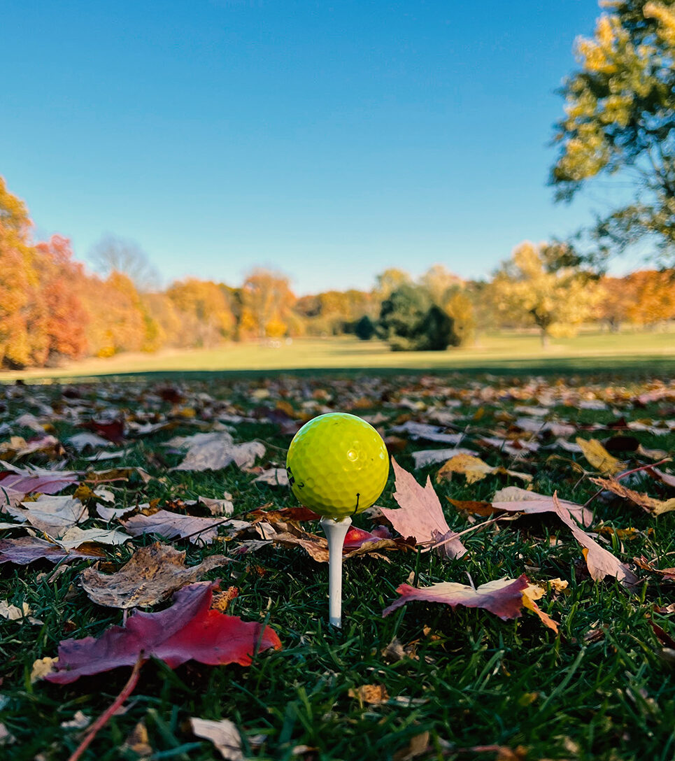 Leadership coaching session on a golf course