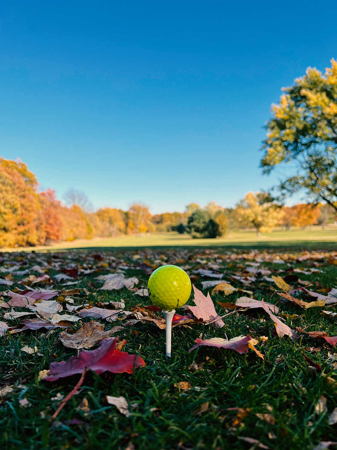 Leadership coaching session on a golf course